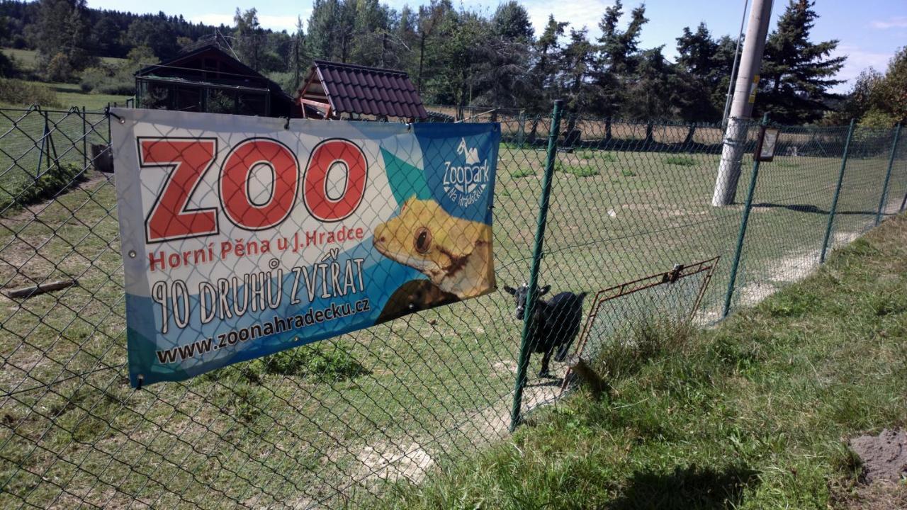 Penzion Lada Nová Bystřice Buitenkant foto